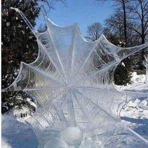 frozen spider web Ervin Dargan
